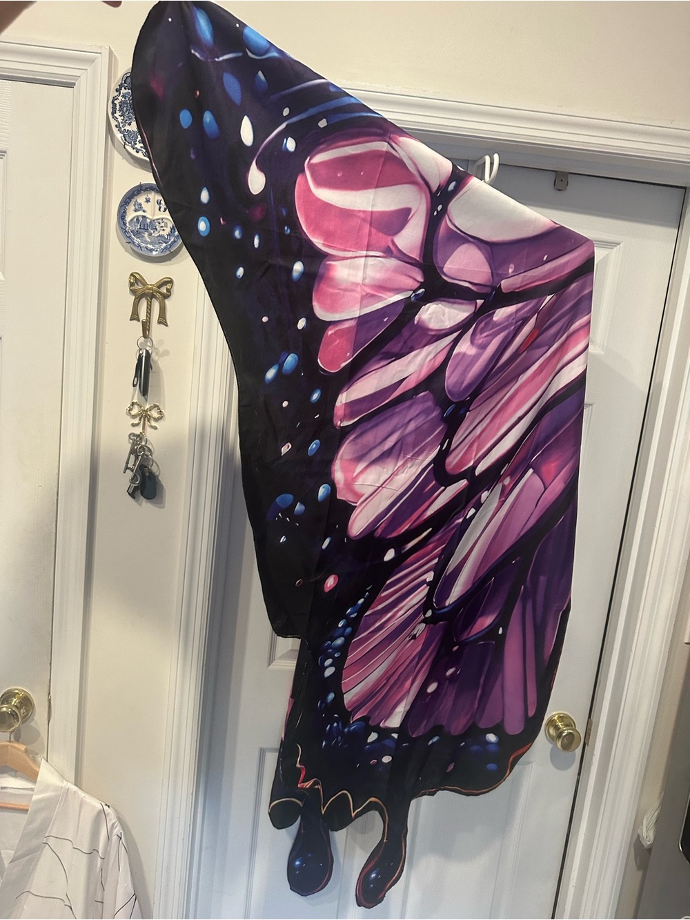 Butterfly wings - Picture 7 of 7
